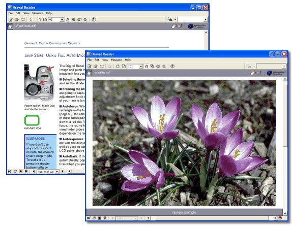 Brava! Reader Screenshot